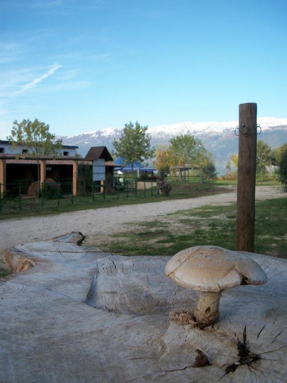 Locanda Dell'Asino D'Oro Villa Sulmona Luaran gambar