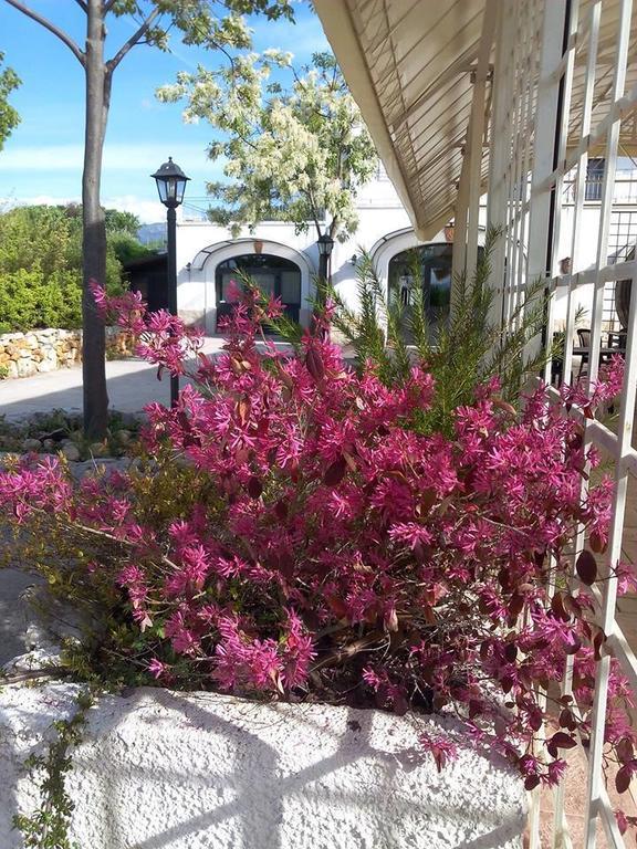 Locanda Dell'Asino D'Oro Villa Sulmona Luaran gambar